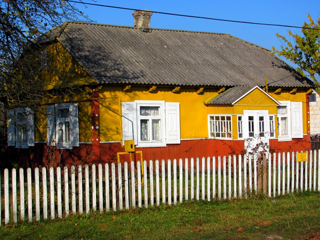 Домик со ставнями с. Голобы.