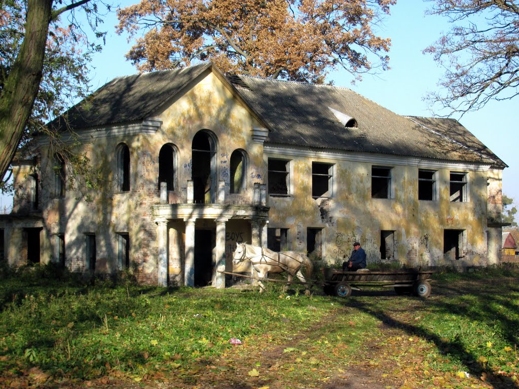 Возле дворца на собственном коне.