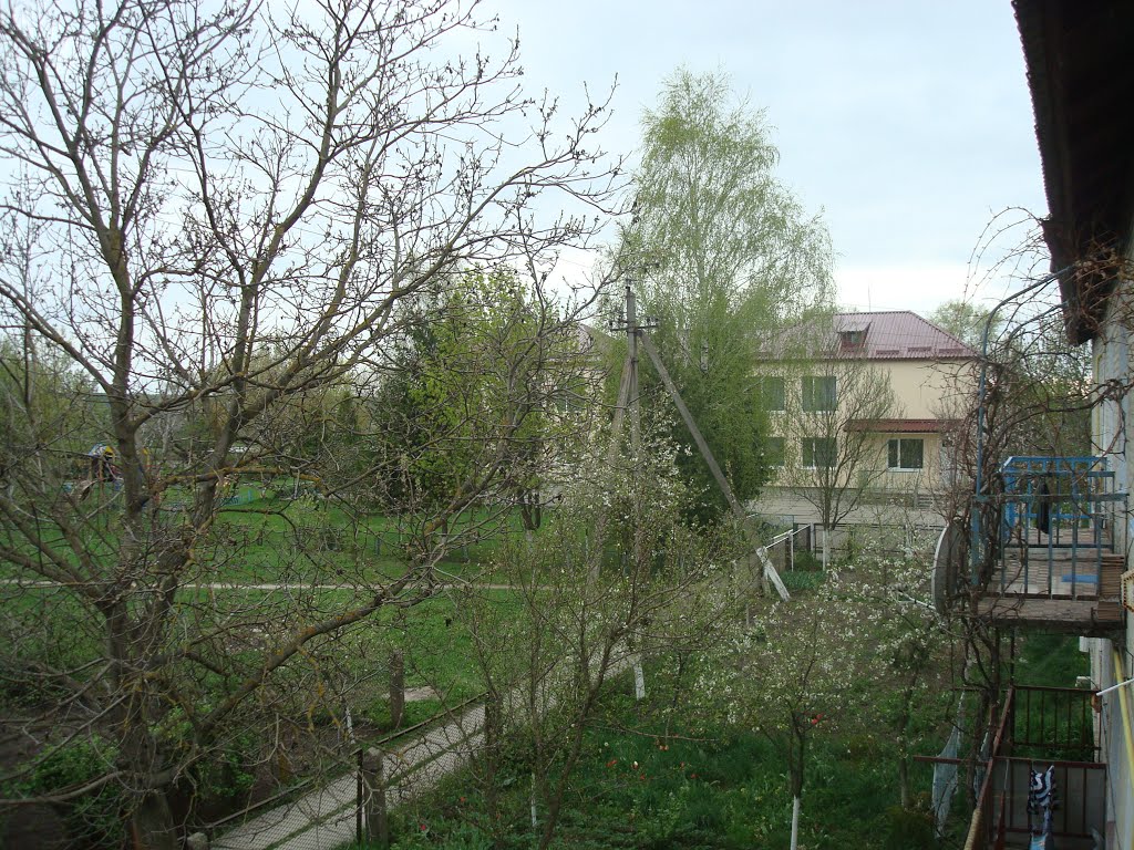 Вид с балкона школа