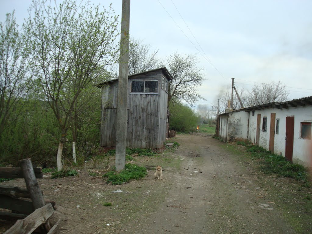 Сеновал