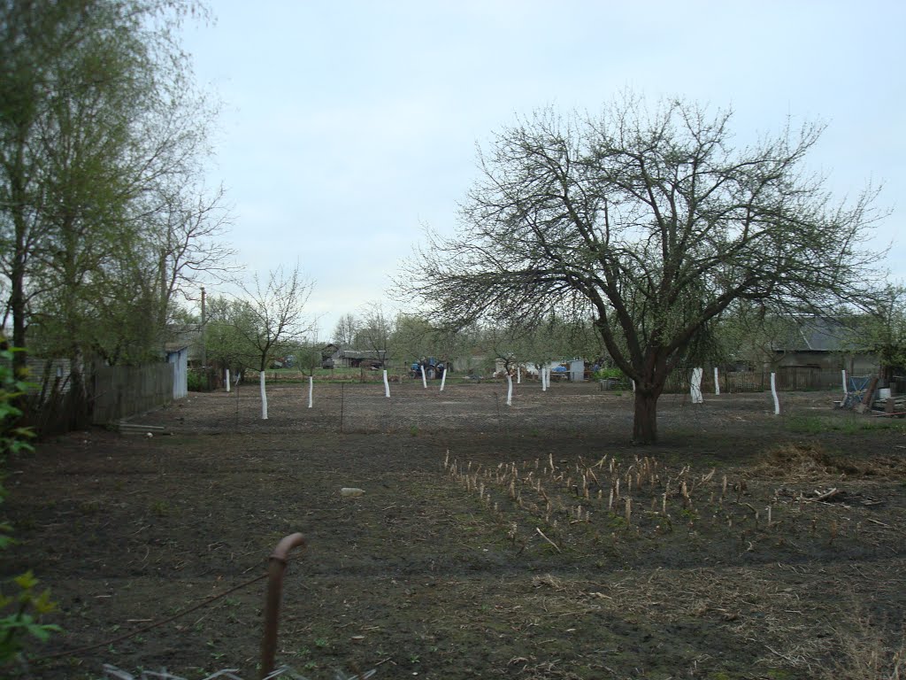 Огород