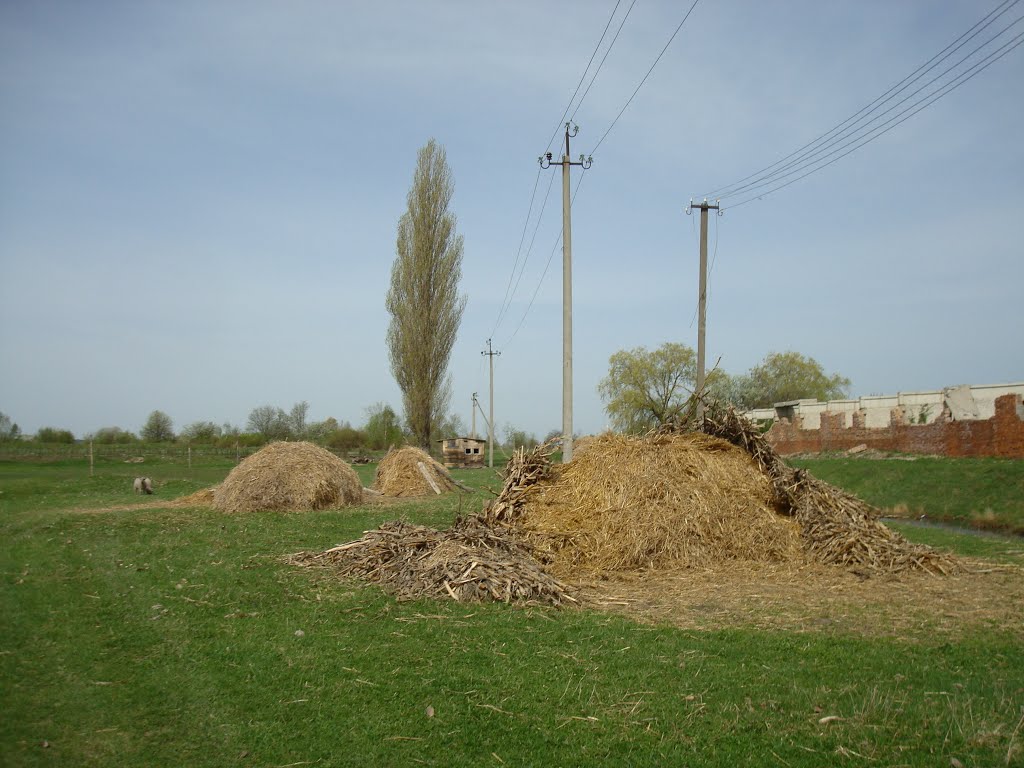 Скирда соломы
