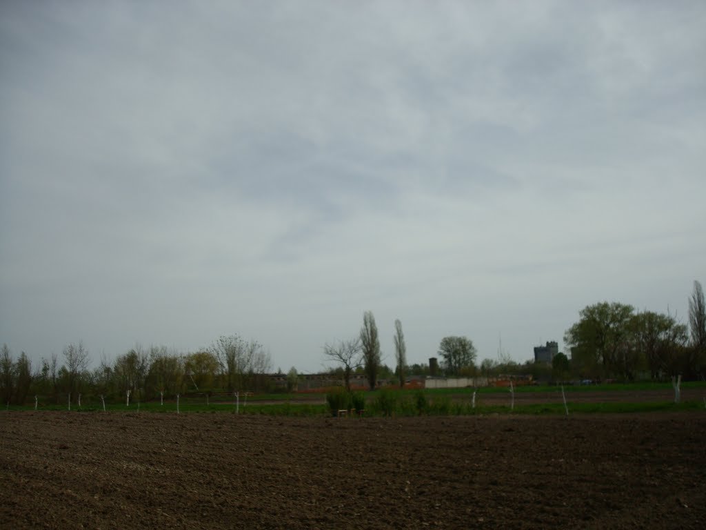 Огороды
