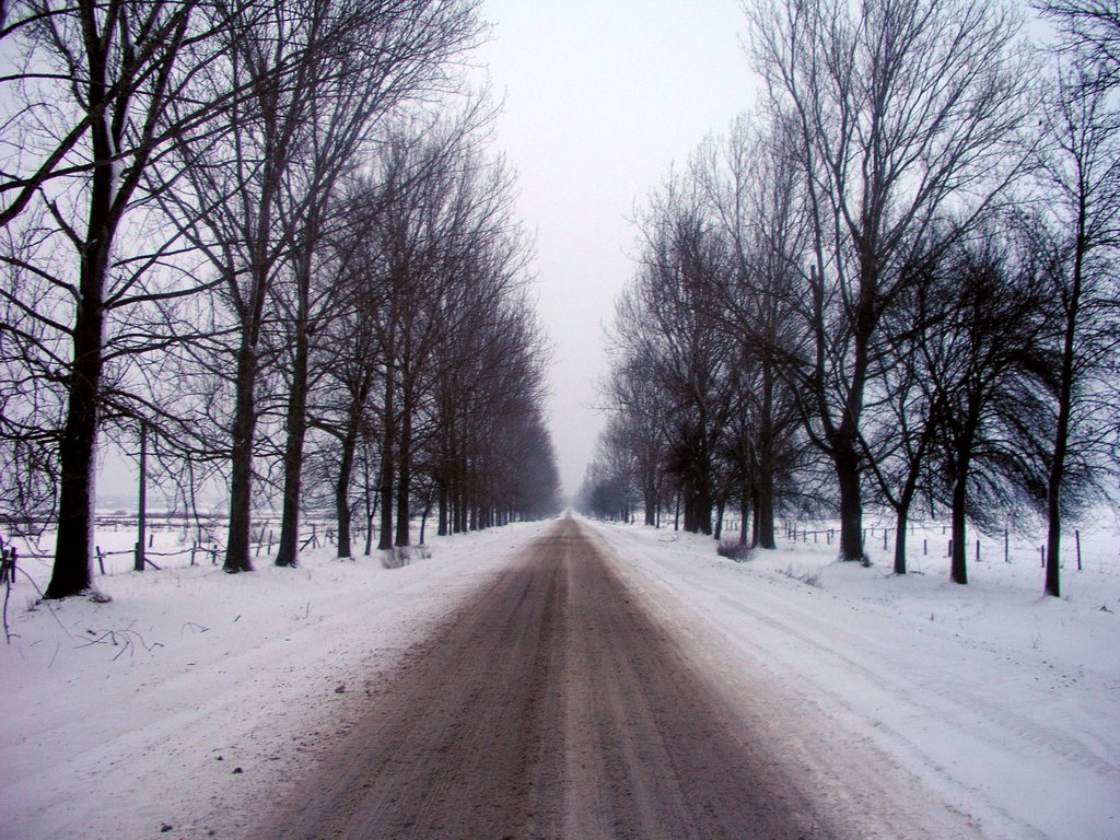 дорога
