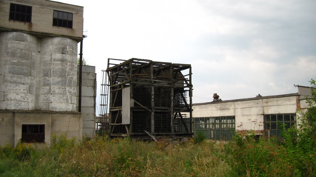 Kulykiv