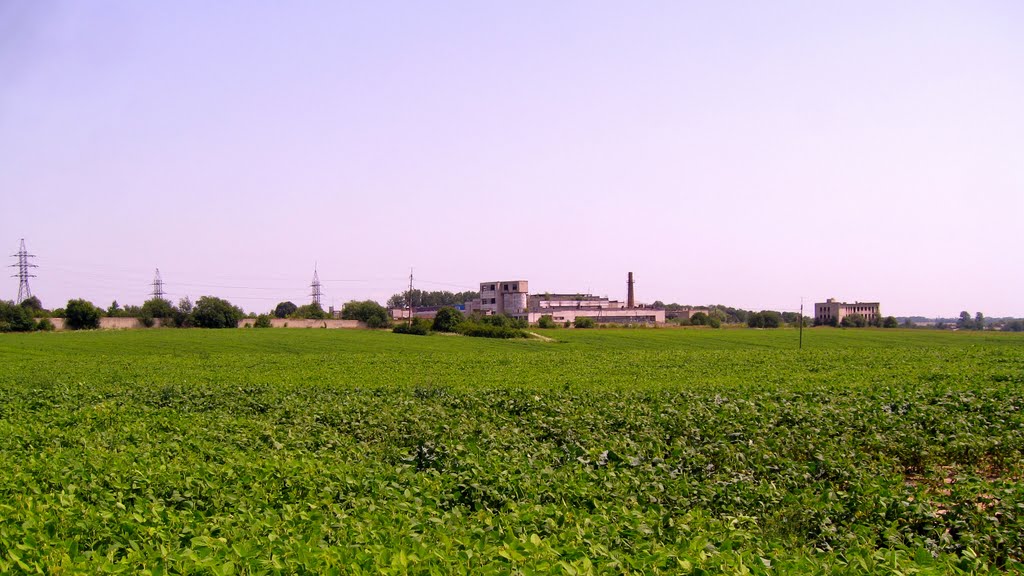 Горохів,  ливарний  завод
