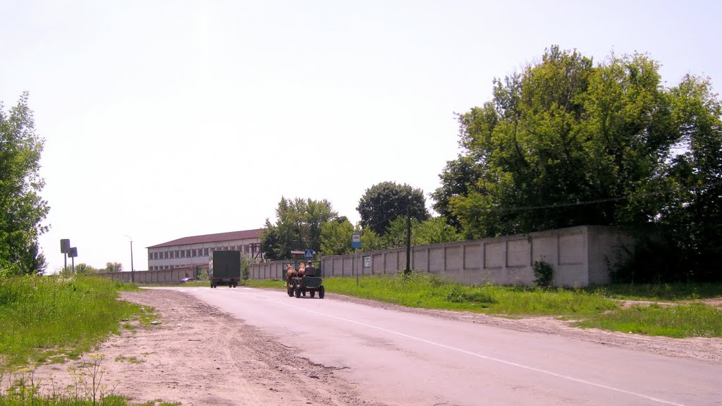 Горохів, вул. Берестецька