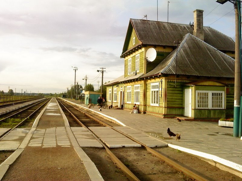 Заболотье