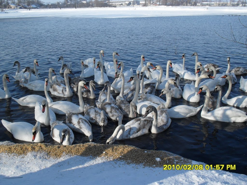 Зима 2010
