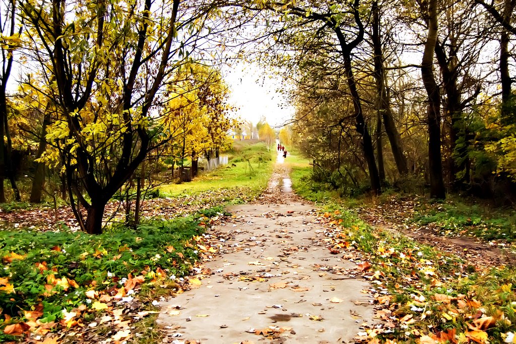 Алея в парк