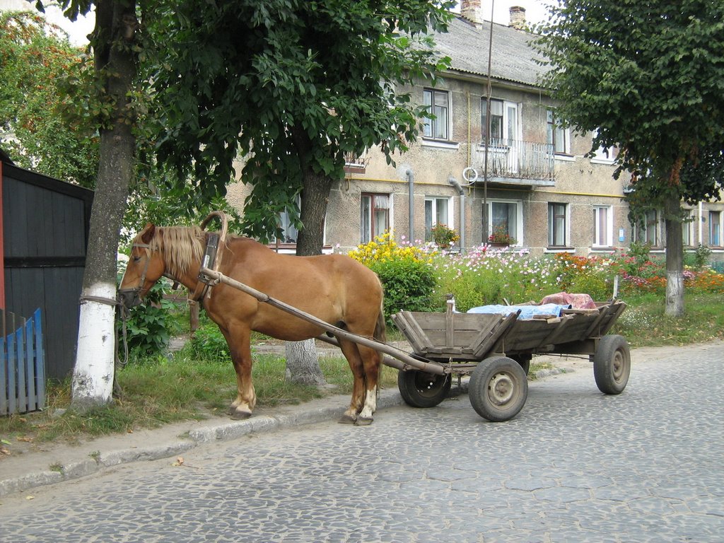 ►Стоянка