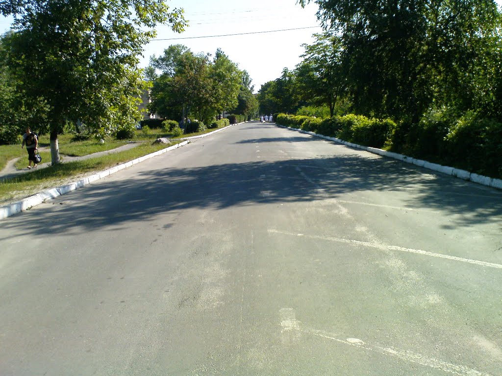 Двор-дорога больницы (сфотографировано через забор) 16.07.2010