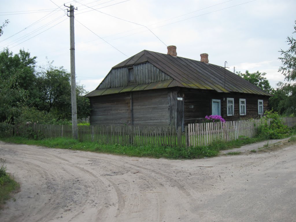 Дом. Улица Торговая, №15. 20.07.2010