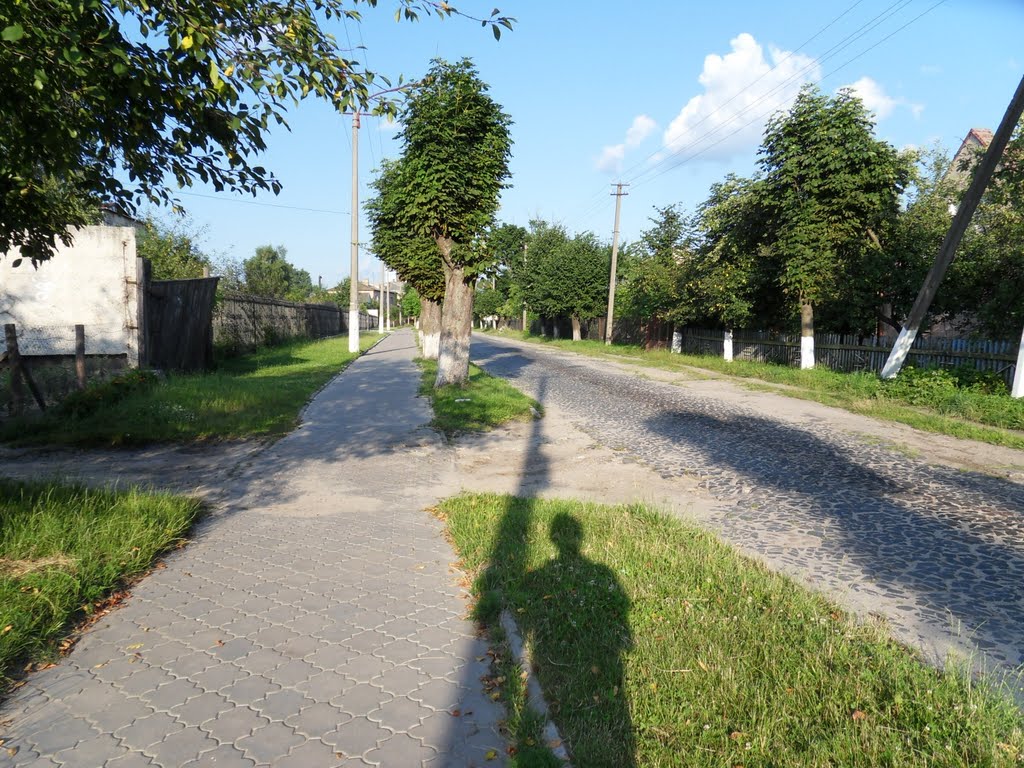 вул. Щевченка