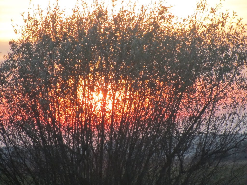 волинь