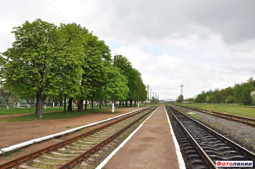 Камінь Каширський