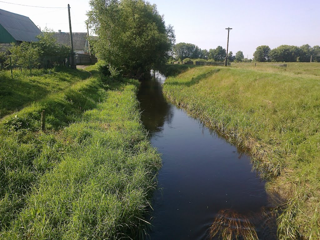 Вид с кладки. 28.06.2012