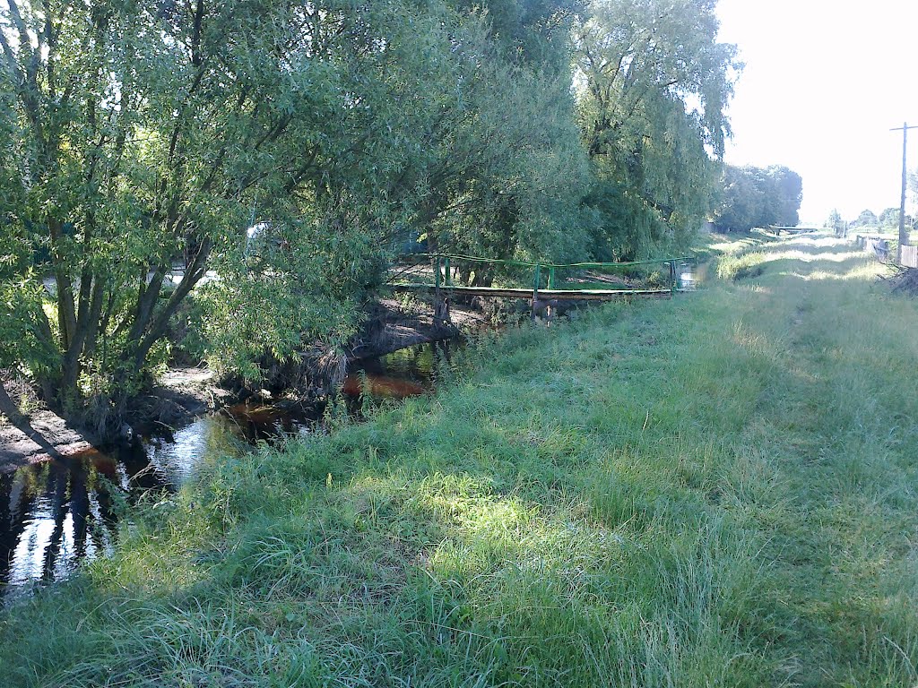 Мостик. 28.06.2012