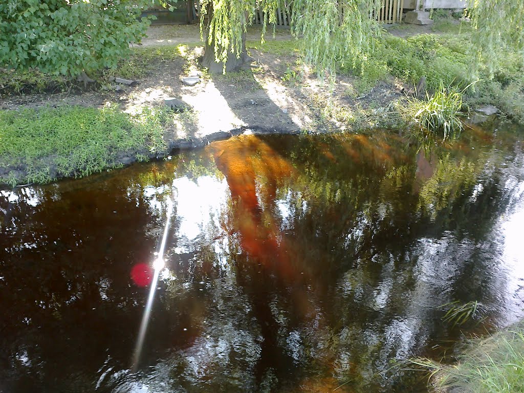 Зеркалом блестит река. 28.06.2012