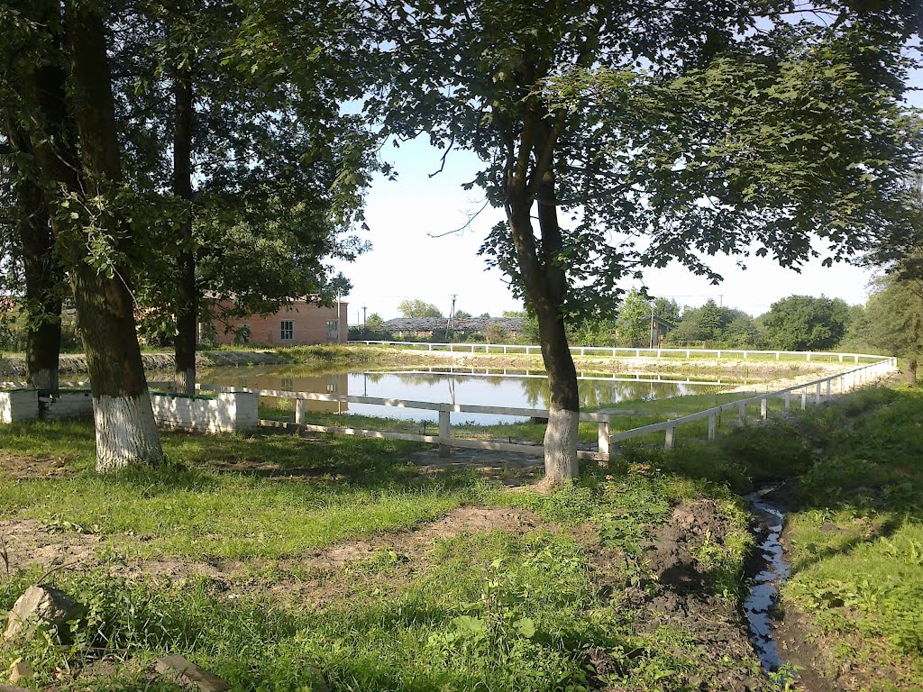 Лесхозный ставок. 28.06.2012