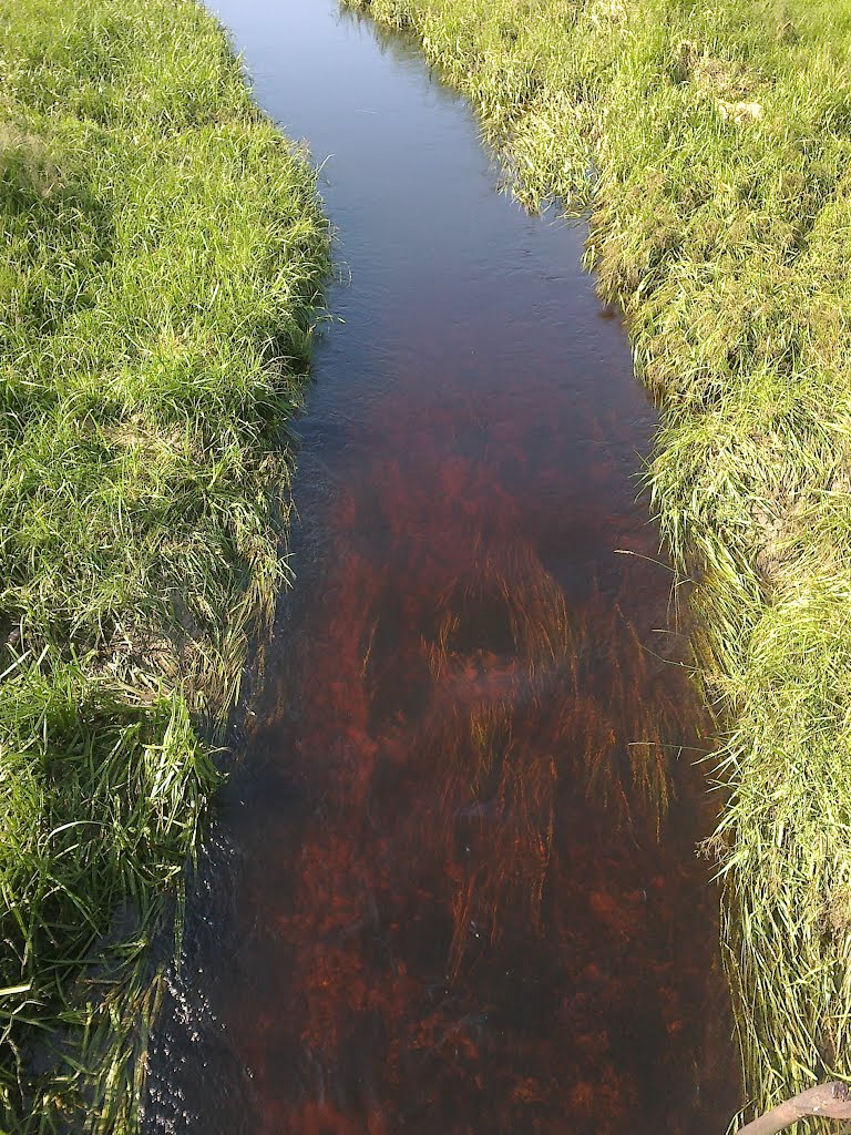 Вода в речке. 28.06.2012