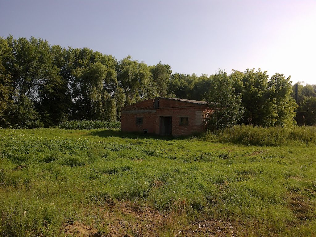 Старое здание. 28.06.2012