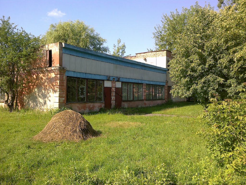 "Лесхозовский" магазин. 28.06.2012