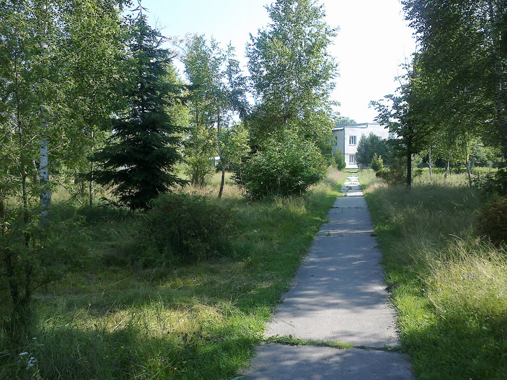 Дорожка к "Конторе" 28.06.2012