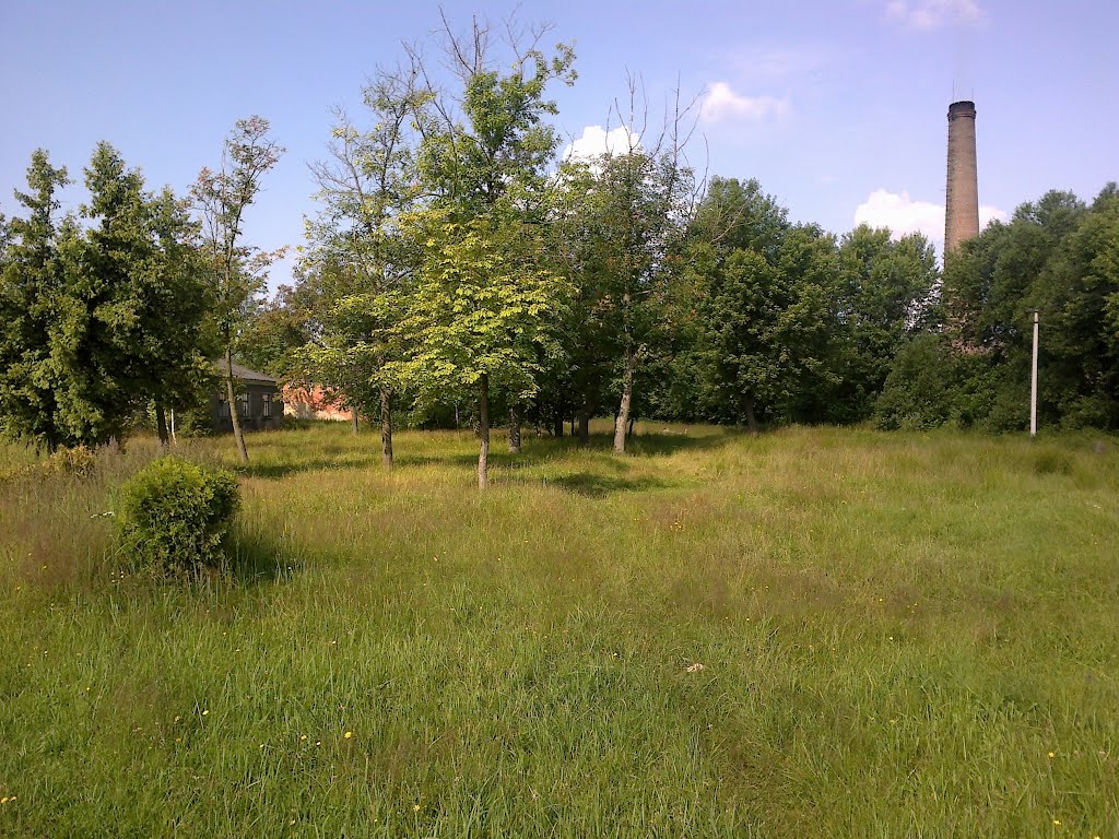 Парк. 28.06.2012