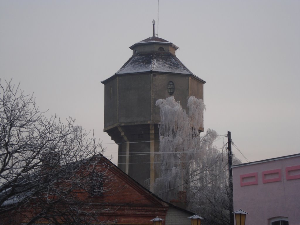 El paisaje invernal