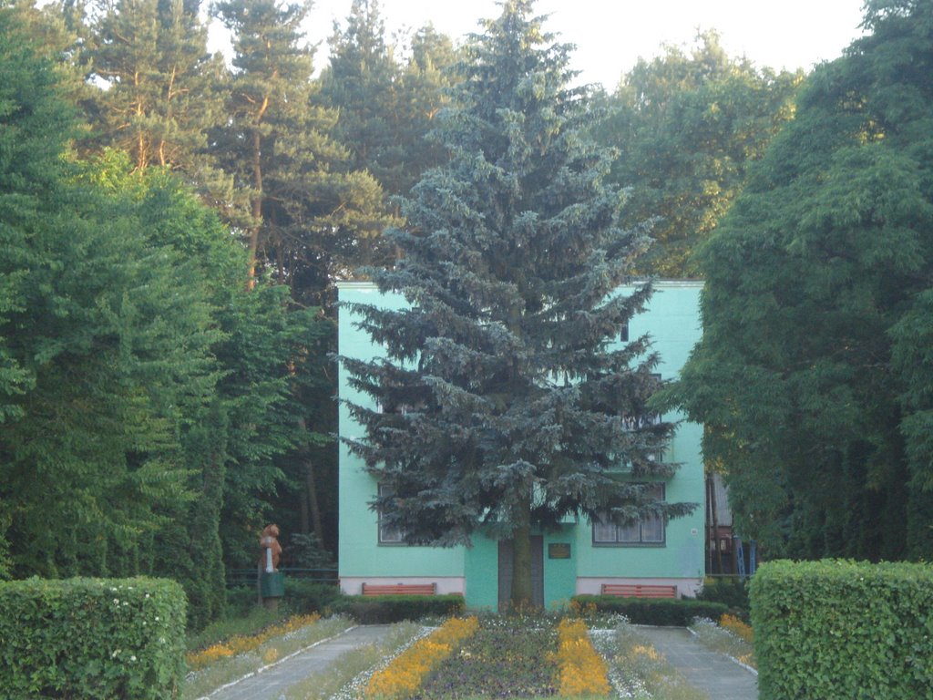 Лісництво/Le district forestier