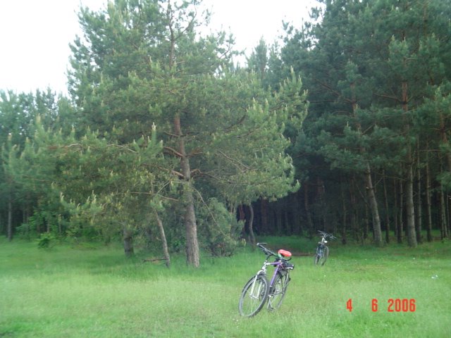 Велопрогулянка