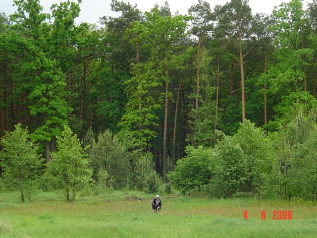 Під Ківерцями
