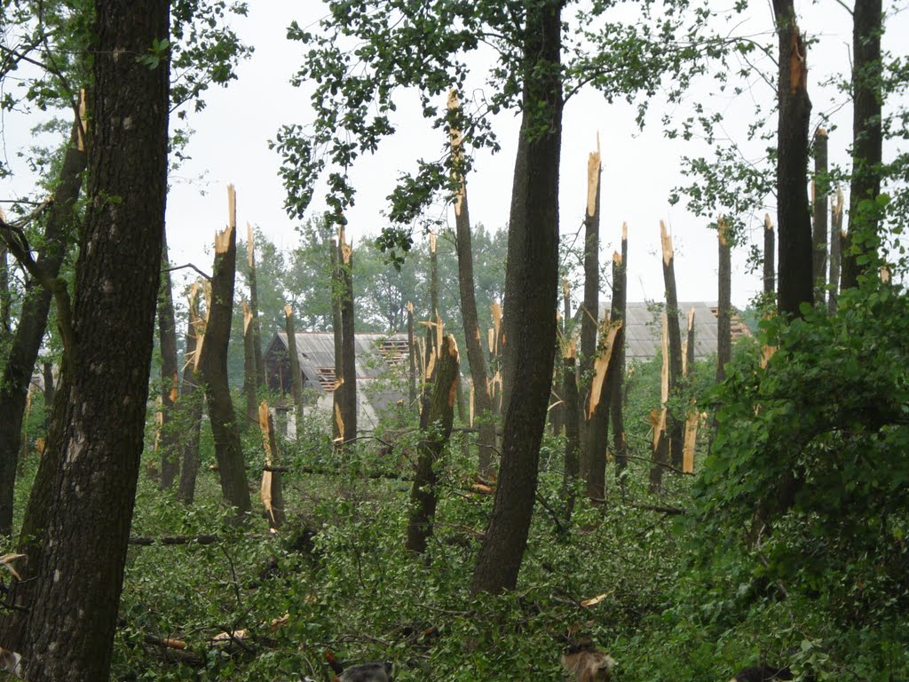 Наслідки буревію 3.06.2007р.