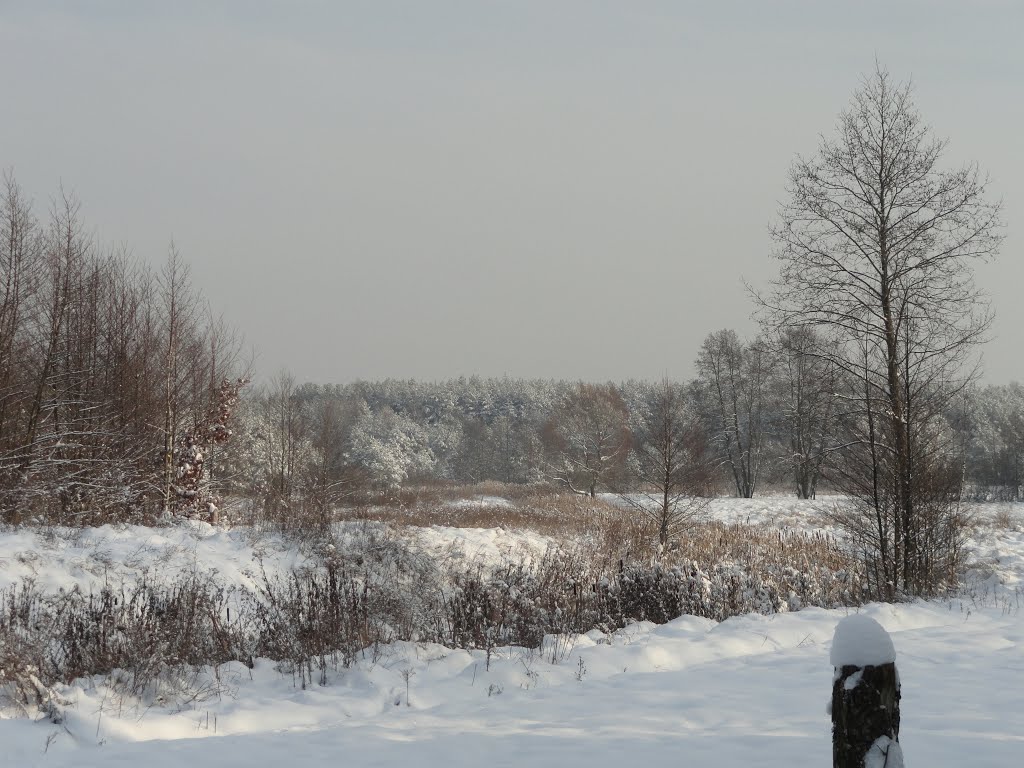 Взимку... - In winter...