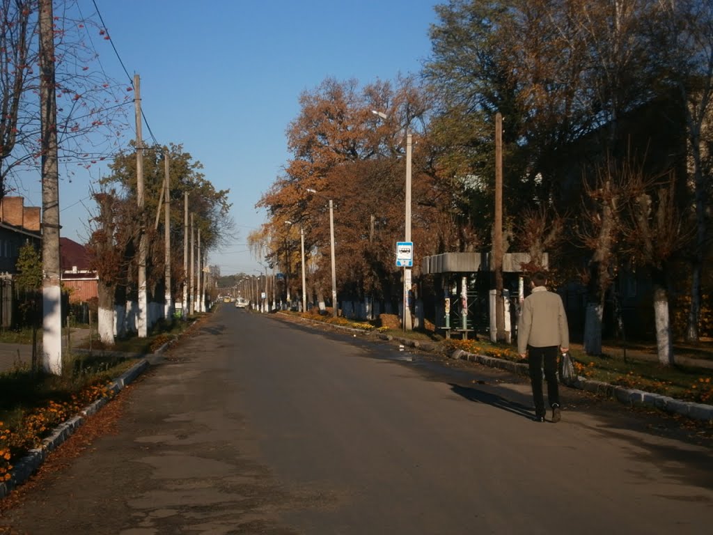 Autumn road