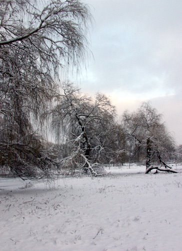 Берег р.Турія взимку