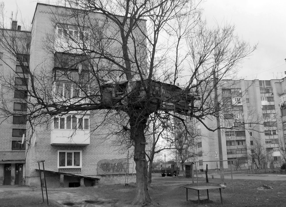 Будинки на деревах-1_Tree Houses_1
