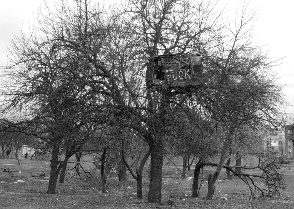 Будинки на деревах-2_ Tree Houses_2