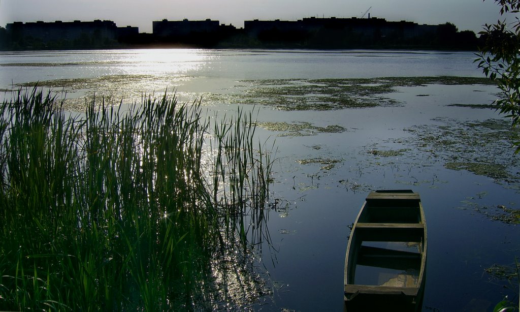 Міська ідилія_City idyll