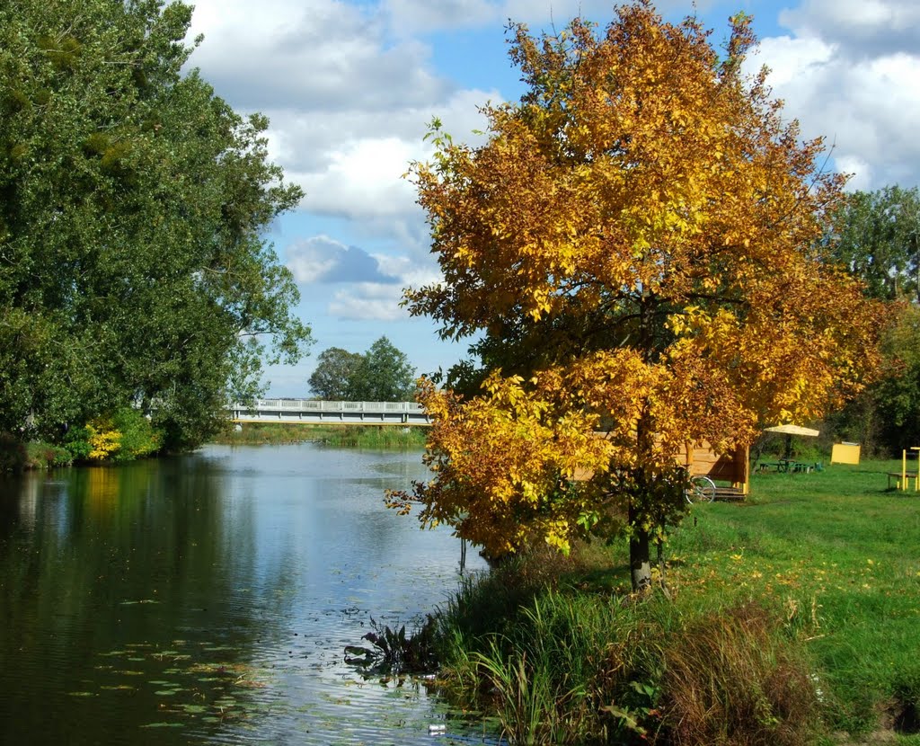 осінній парк/ autumn park