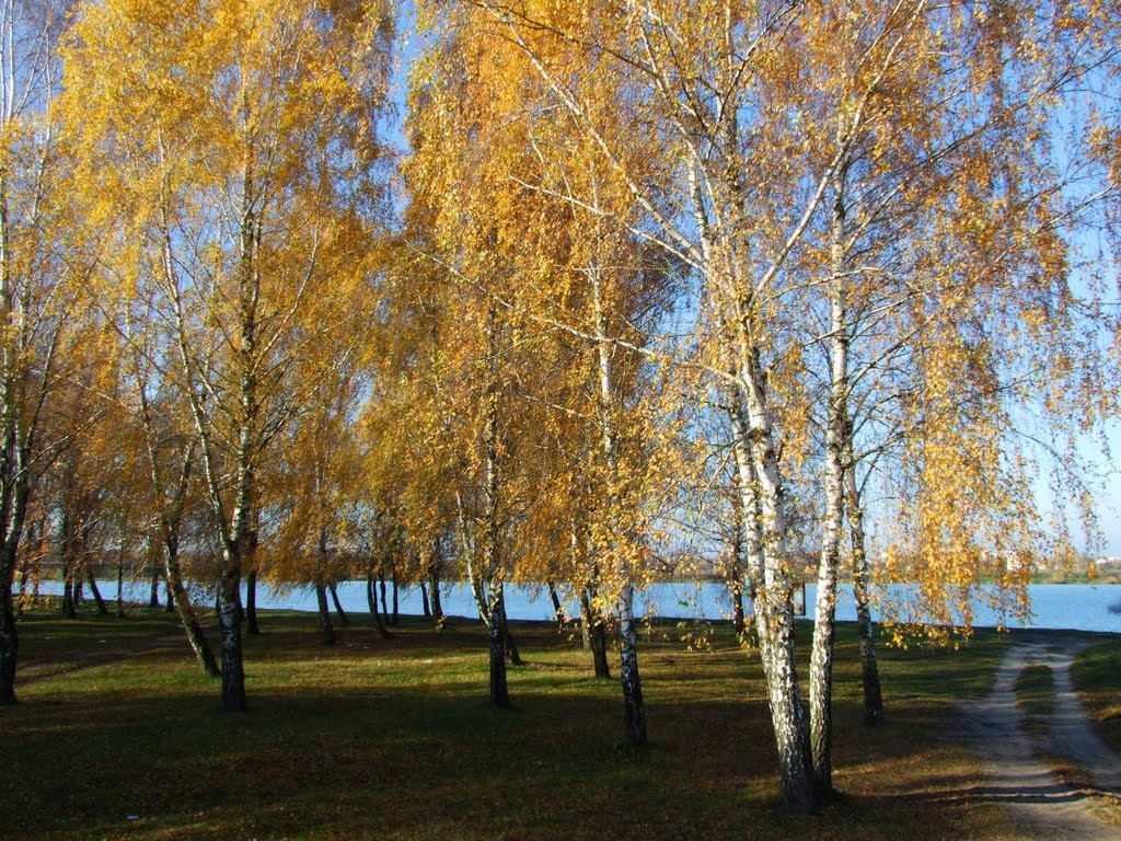 100% осені/ to the 100% autumn