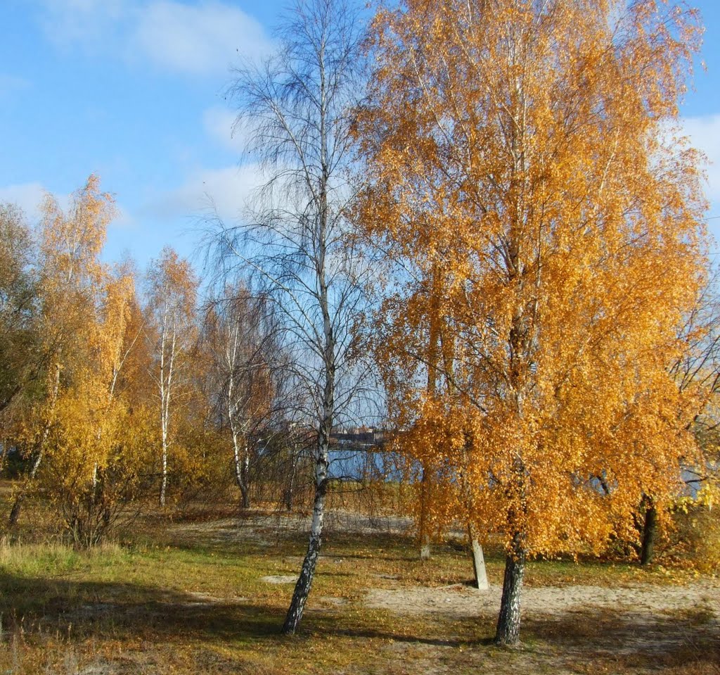 жовтень/ October