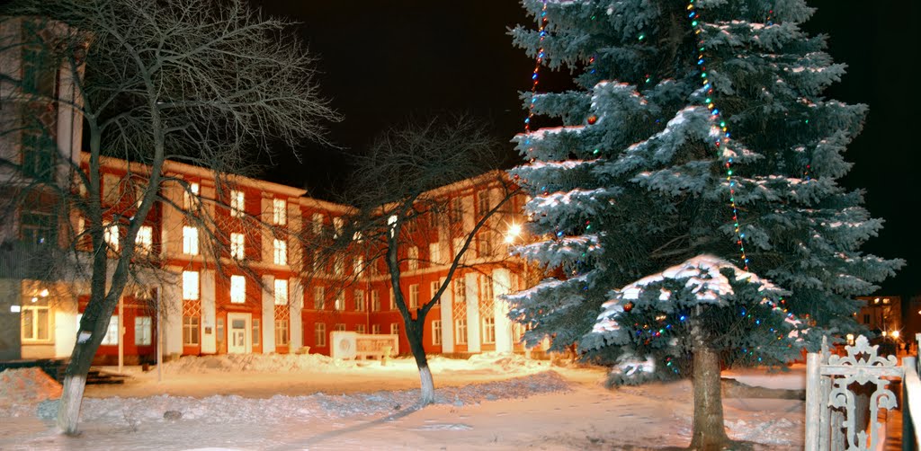 Ковель. Ялинка біля лікарні_Kovel. Christmas tree at the hospital