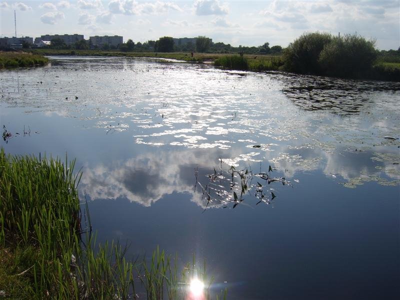 River Turia