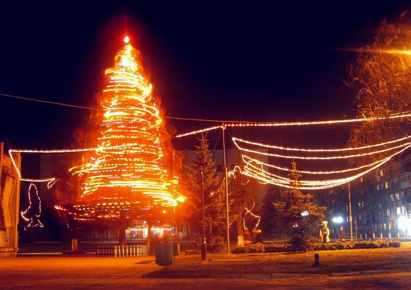 30.12.06 new year tree