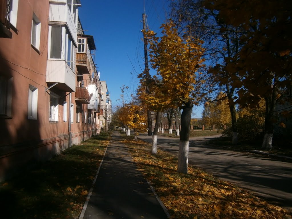 Autumn street
