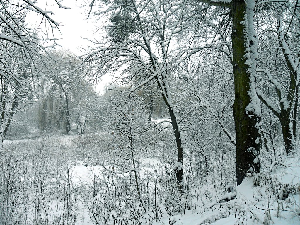 Зимовий Парк
