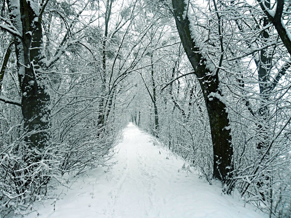 Снігова Алея