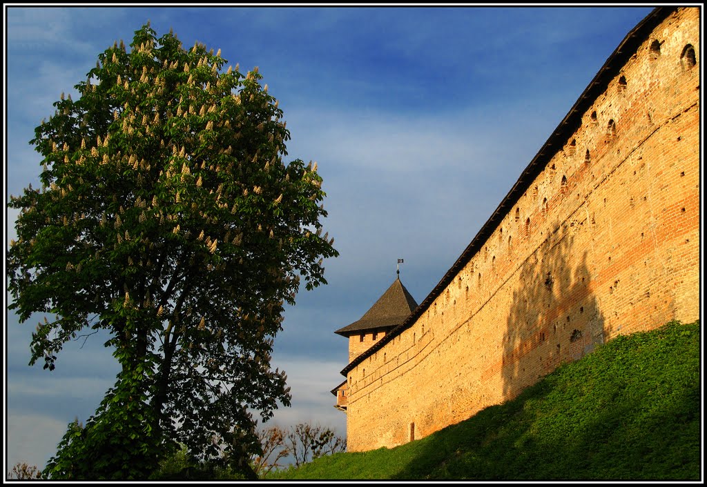 Замок Любарта. Луцьк  Lubart’s castle. Lutsk